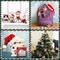 Christmas Bunny, Shiba Inu, Cat and Santa Needle Felting Kit. Wizardi DIY Wool Craft Kit F07N8-Z-06